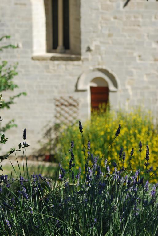 B&B San Paterniano Cingoli Eksteriør billede